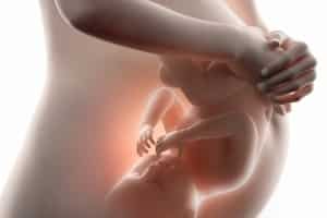 Photo - bébé dans le ventre de la femme enceinte
