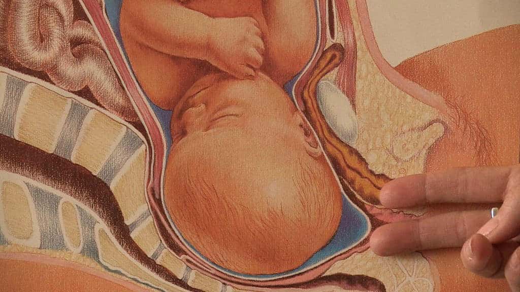 Image - Rupture de la poche des eaux - col de l'utérus