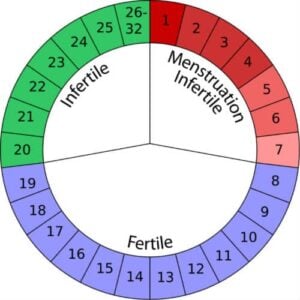 Image - Méthode du calendrier Ogino - Les méthodes de contraception naturelles