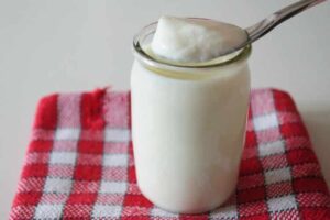 Photo - Yogourt - Tout sur les purées pour bébé maison