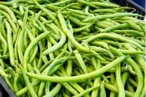 Haricots verts - Bien manger pour une grossesse en santé