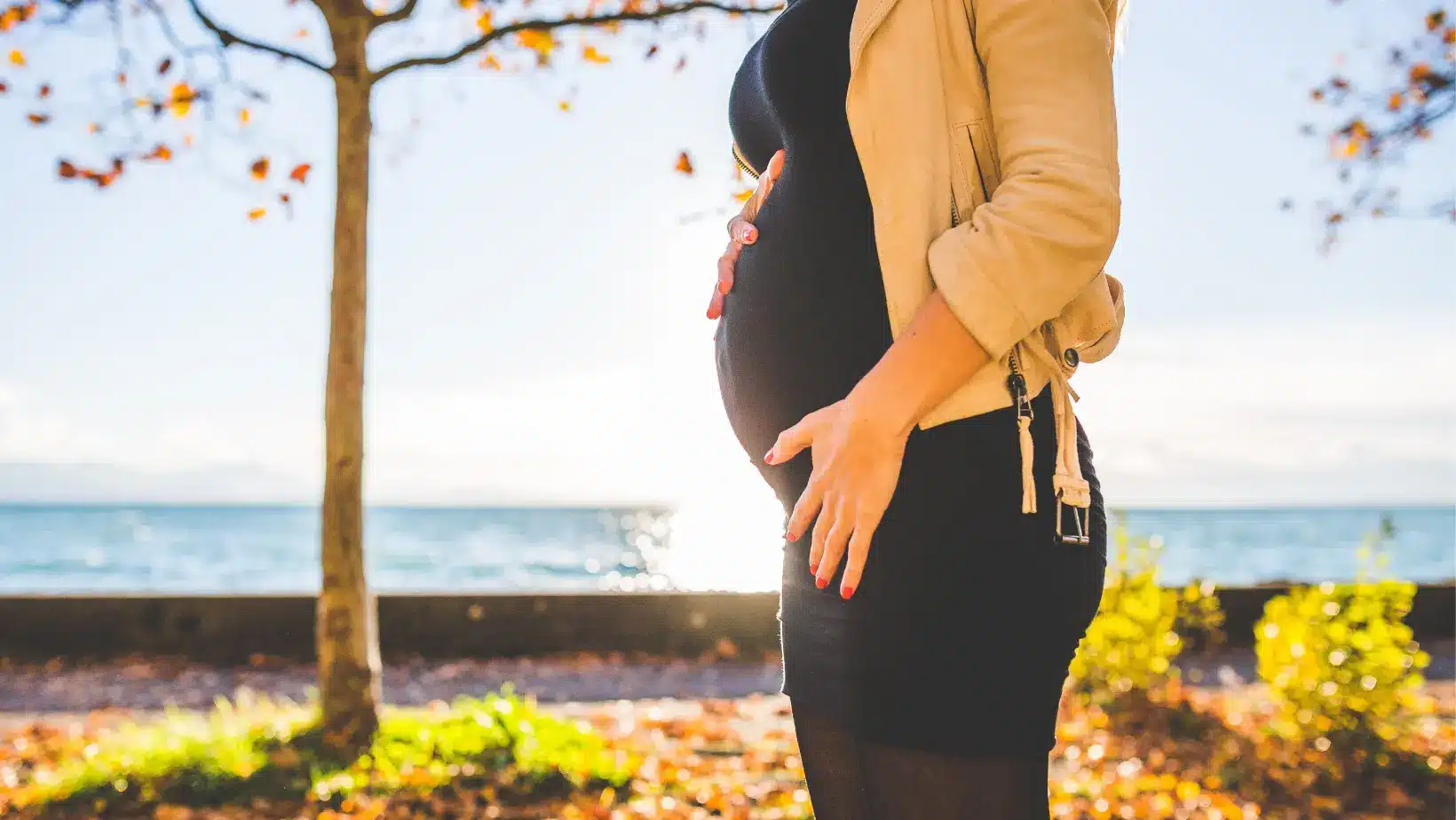 Photo - femme enceinte et produits naturels