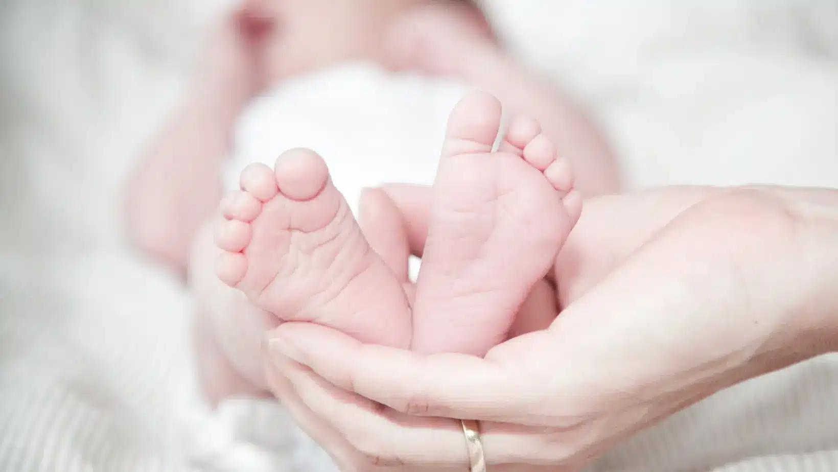 Photo - nouveau-né dans les mains de ses parents